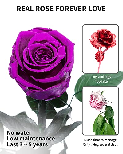 Purple Flowers for Delivery Prime, Preserved Purple Roses Flower Gifts for Women, Real Roses Single Rose Gifts for Her, Mom Birthday Gifts from Daughter, Valentines Flowers - color: 06-purple