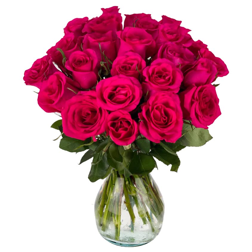 25 Hot Pink Roses with Vase | Arabella Bouquets | Real Fresh Flowers for Delivery, Gift for Birthday Women, Congratulations, Anniversary, Thank You, Mother's Day - color: Hot Pink, size: 25 Stems
