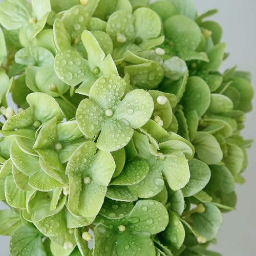 ZYTUYO 2PCS White & 2PCS Green Fake Hydrangea Real Touch 20" Latex Artificial Hydrangea Flowers with Long Stems for Outdoor Indoor Spring Home Decor Porch Party Wedding Xmas Floral Arrangements - color: White/Green
