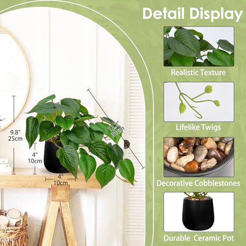 DILATATA Fake Plants Indoor 8 Inch Artificial Pothos Plant in Black Ceramic Pot - Faux Potted Pothos Plant for Home Aesthetic Decor Living Room Shelf Office - color: Pothos #Ceramic