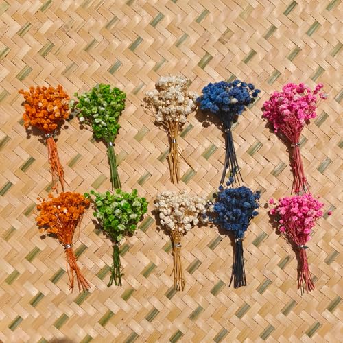 120 Pcs Mini Dried Baby Breath Flowers Gypsophila Ivory Mixed Color Flowers Dried Flowers for Vase Wedding Home Office Party Garden Card Making Decor Wreath Floral Craft DIY Art (Mixed Color Varient) - color: Mixed Color Varient