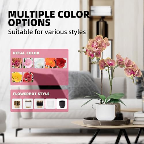 CXGS Orchids Artificial Flowers Real Touch Fake Flowers in Ceramic Pot 20" Purple Dapple Faux Orchid Plant Lifelike Silk Phalaenopsis for Centerpiece Hotel Home Indoor Decor - color: Purple Dapple- White Vase