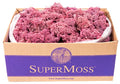 SuperMoss (25150) Reindeer Moss Preserved, Dusty Rose, 3 lbs - color: Dusty Rose, size: Appx. 3 lb Bulk Case