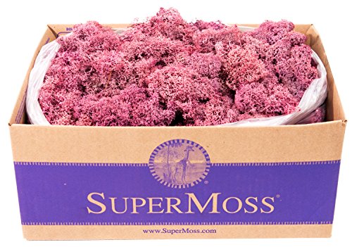 SuperMoss (25150) Reindeer Moss Preserved, Dusty Rose, 3 lbs - color: Dusty Rose, size: Appx. 3 lb Bulk Case