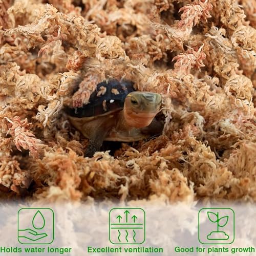 Halatool 10OZ Orchid Moss Sphagnum for repotting, 14QT Dried Sphagnum Moss for Plants Indoor, Maintain Air Humidity and Improve Soil Acidity, Natural Media for Orchid Plant Growth - size: 14 qt (0.6 lbs)