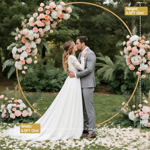 Balloon Arch Stand Metal Round Backdrop Stand Circle Balloon Arch Frame Wedding Arches 6.5FT for Ceremony Birthday Party Baby Shower Decoration - size: 6.5FT