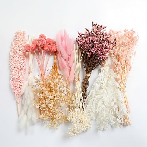 LUXEEASE DIY Boho Dried Flowers Bouquet 141 Stems, 9 Kinds Natural Preserved Flowers (Pink/White) Mini Dried Flower Arrangements for Home Wedding Centerpiece - color: Blush & Cream