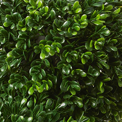 Nearly Natural 5486 Boxwood Topiary Artificial Tree UV Resistant, Green 13 x 13 x 36