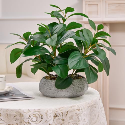 K&Y Realistic Artificial Potted Plants Olive Wild Fern Berry Decor Low Maintenance Faux Greenery Indoor Fake Plants for Home Office Bathroom Kitchen Desk Shelf (Gray Flowerpot Potted Plant) - color: Gray Flowerpot Potted Plant