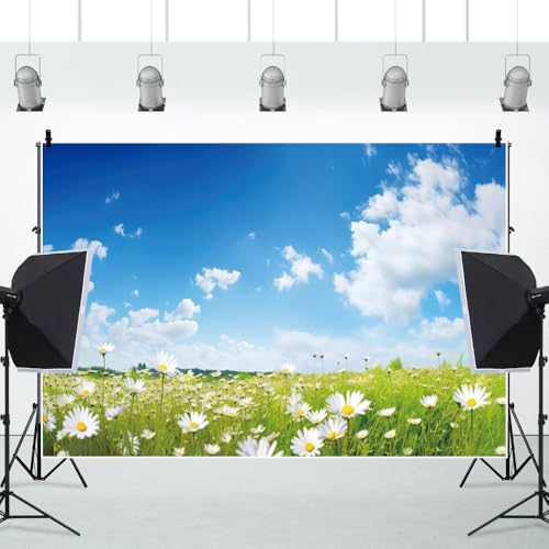 10x8ft Spring Backdrop for Photography Blue Sky White Clouds Daisy Flowers Wedding Themed Party Backdrop Flowers Field Natural Scenery Background Outdoor Garden Floral Blossom Video Props - size: 10x8ft