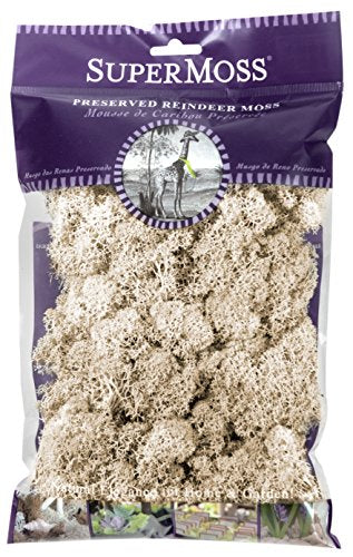 SuperMoss (21702) Reindeer Moss Preserved, 120 cu. in., Natural - color: Natural, size: 80.75 cubic inch (in3) Bag (Appx. 2oz)