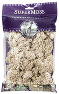 SuperMoss (21702) Reindeer Moss Preserved, 120 cu. in., Natural - color: Natural, size: 80.75 cubic inch (in3) Bag (Appx. 2oz)