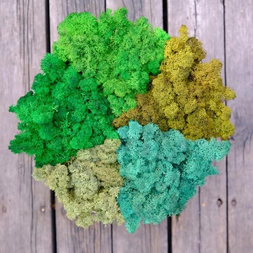 Preserved Reindeer Moss Natural Green DIY Kit Gardenning Art Wall Decor Florist Decor Easter Table Decor Wedding - color: Style-22, size: 1 lb