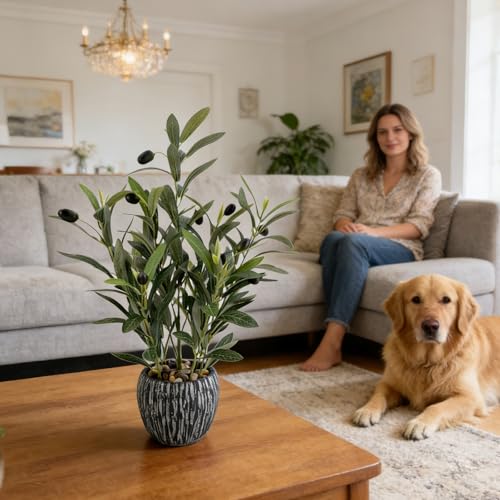 Olive Branches Artificial Plants Décor Indoor 17.72'' Tall Fake Olive Branch with Rustic Black Cement Planter for Vintage Room Bathroom Bedroom Kitchen Office Dese Coffee Table Décor - size: Olive 17.72inch