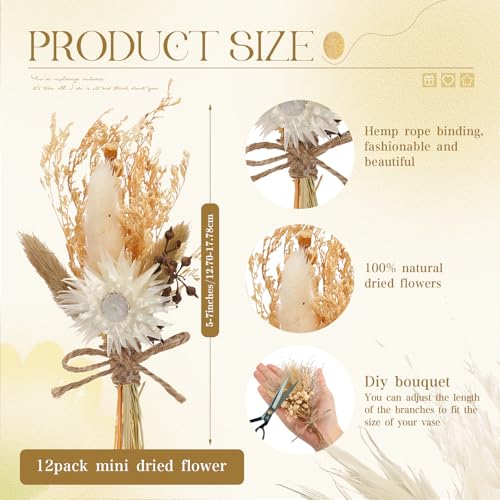 Layhit 12 Pcs Boho Dried Flower Bouquet Mini Wedding Handmade Dry Flowers Decor for Vase Crafts DIY Photo Boutonniere for Men Floral Plant for Bridesmaid Gift Birthday Decor(Rustic) - style: Rustic