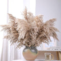 20 Stems 28" Large Brown Pampas Grass - Natural Fluffy Pompas Grass Bulk for Floor Vase - Boho Decor Home Wedding Event Decor, Gift - size: 20pcs brown