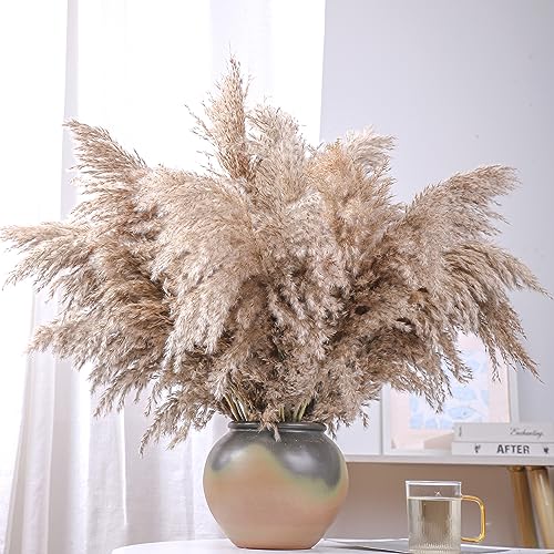 20 Stems 28" Large Brown Pampas Grass - Natural Fluffy Pompas Grass Bulk for Floor Vase - Boho Decor Home Wedding Event Decor, Gift - size: 20pcs brown