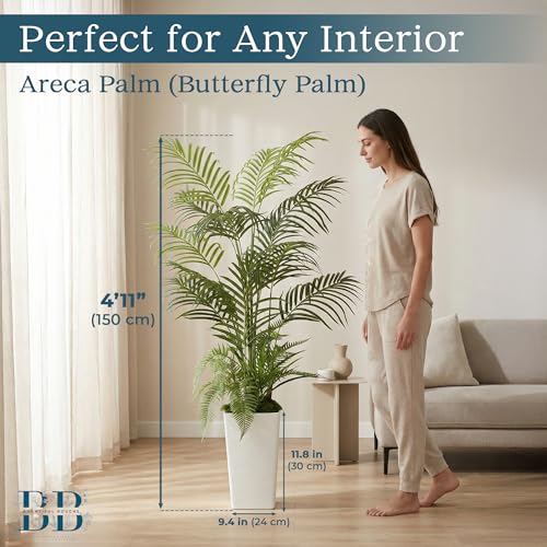 5FT Areca Palm Artificial Tree with LED Light, Tall White Pot, 3 Removable Grass Branches & Moss | Maintenance-Free Indoor Potted Plant (Areca Palm and Essentials (Tall Pot, Moss, 3 Grass Branches))