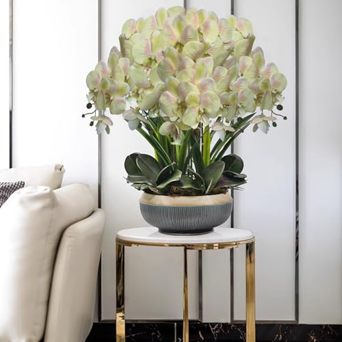 HinyoCo 5 Pcs Artificial Orchid Flowers and 4 Bundles Leaves, Artificial Phalaenopsis Flowers 32 Inch Stem Plants for Home Wedding Decoration (Light Green Pink) - color: Light Green Pink