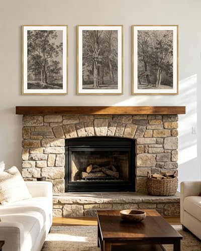PHOPAGO Vintage Tree Framed Wall Art Large 16x24in Retro Forest Wall Decor Nature Wilderness Sketch Paints Modern Bedroom Living Room Decor - Natural Framed - color: Brown Tree, size: 24L" x 16W" x 3 Pcs Natural