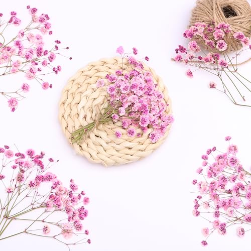 30 Pcs Pink Baby's Breath Real Dried Pressed Flowers.Vacuum-Packed Mini DriedBaby's Breath Flowe Specimen +1 Tweezers, for Resin Art /DIY Making Wedding Card/ Home Party Decor.