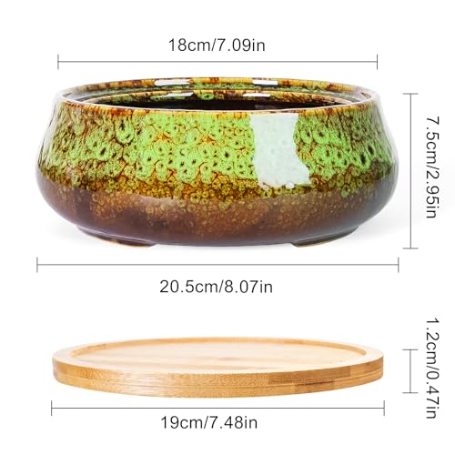 ARTKETTY Succulent Pots - 8 Inch Plant Pot, Large Bonsai Pots with Drainage Tray, Ceramic Planters for Indoor Outdoor Plants, Round Shallow Cactus Flower Plant Container Bowl Decorative Home Garden - color: Green