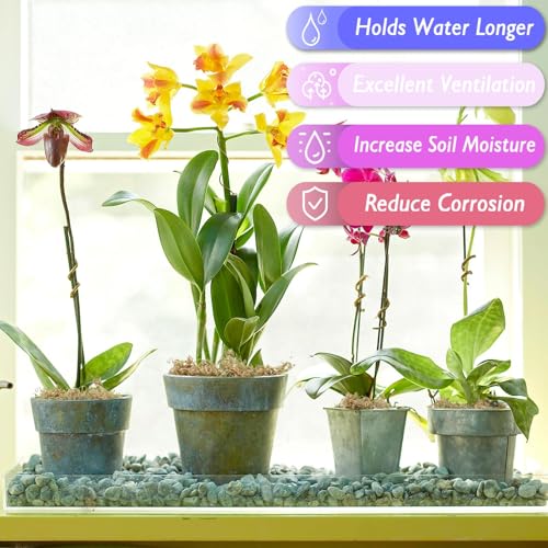 Halatool 3.6OZ Premium Sphagnum Moss for Indoor Plants, 4 QT Orchid Moss Potting Mix - Natural Sphagnum Moss for Succulents, Carnivorous(Sarracenia), Monstera, Terrarium Substrate & Reptile Habitats - size: 4 qt (0.2 lbs)
