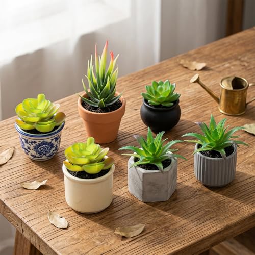 Styquenzer 6 PCS Fake Succulent Plants, Artificial Succulents Plant Mini Fake Succulents Plant Green Succulent Plants for DIY Crafting Home Floral Wall Office Decoration (Excluding Pots)