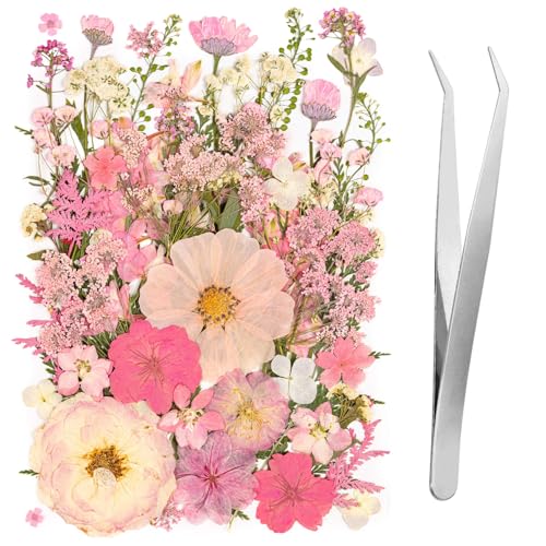 50pcs Pink Pressed Flowers Bulk, Romantic Dried Flower Leaves, Natural Pressed Dried Flowers with Tweezer for DIY Crafts Resin Mold Candles Cake Bridal Scrapbooking Supplies - size: Pink 50pcs