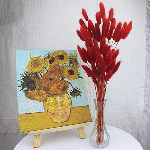 60pcs Dried Bunny Tails Flowers Red Pampas Grass Natural Dried Floral Arrangement Dry Flowers for Christmas Halloween Boho Decor Home Wedding DIY Craft Decoration (16")… - color: Red