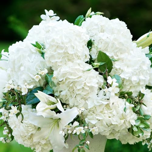 Coferset 5pcs Hydrangea Artificial Flowers Real Touch 20 inch Lifelike Hydrangea Flower for Home Wedding Office Party Living Room Decoration (White) - color: White