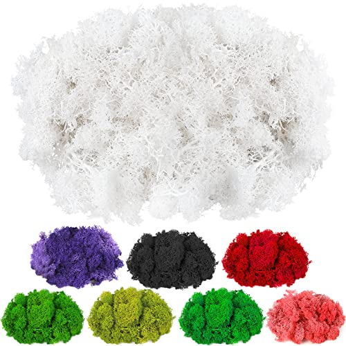 CCINEE Moss Preserved, 4 OZ Fake Reindeer Moss for Potted Plants for Craft Arts Floral Wall Decor Wedding Centerpieces Fairy Garden Artificial Terrariums Decoration for Christmas(White) - color: White