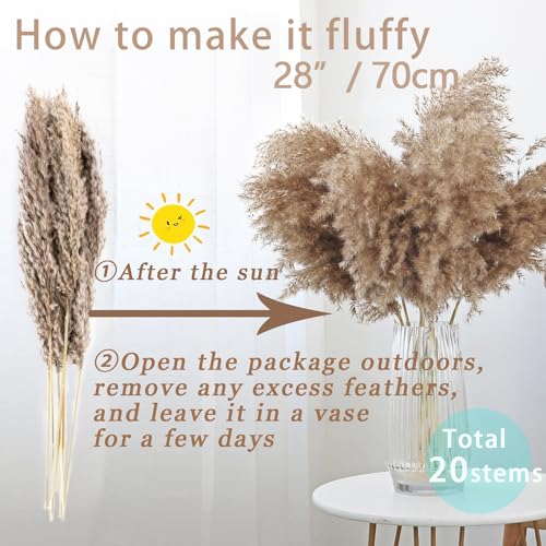 20 Stems 28" Large Brown Pampas Grass - Natural Fluffy Pompas Grass Bulk for Floor Vase - Boho Decor Home Wedding Event Decor, Gift - size: 20pcs brown