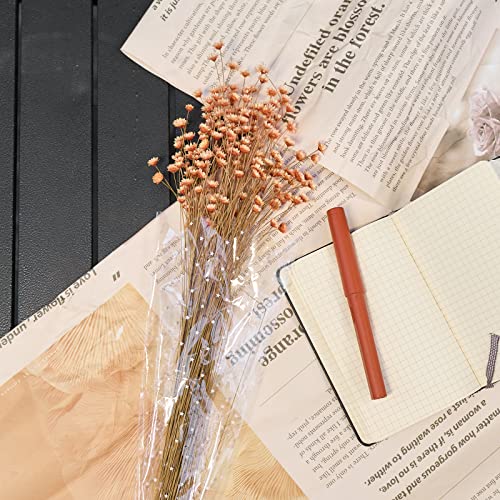 200 Stems Natural Dried Flowers Brazilian Small Star Daisy Dried Decorative Mini Chamomile Bouquet for Wedding Floral Arrangements Home Decorations Valentine's Day Gifts (Orange) - color: Orange
