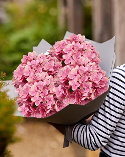 DILATATA Silk Hydrangea Flower 26" Big Fake Hydrangea Faux Flowers Lifelike Tall Artificial Hydrangea Real Touch Hydrangea for Wedding Ceremony Centerpieces Decoration - color: Pink #3, size: 3PCS