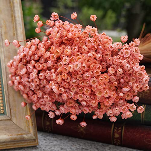 100 Stems Natural Dry Flowers Brazilian Small Star Daisy Decorative Dried Flowers Mini Daisy Chamomile Bouquet for Wedding Floral Arrangements Home Decorations (Lotus Color) - color: Lotus Color