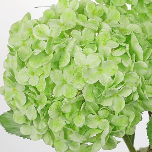 Large Real Touch Hydrangea Artificial Flowers with Stems, 8" Full Bloom Fresh Touch Faux Hydrangea Bouquet for Vase Decor, Wedding Centerpieces, Home Table Arrangement 25.5” Tall Green Hydrangeas - color: Green-l