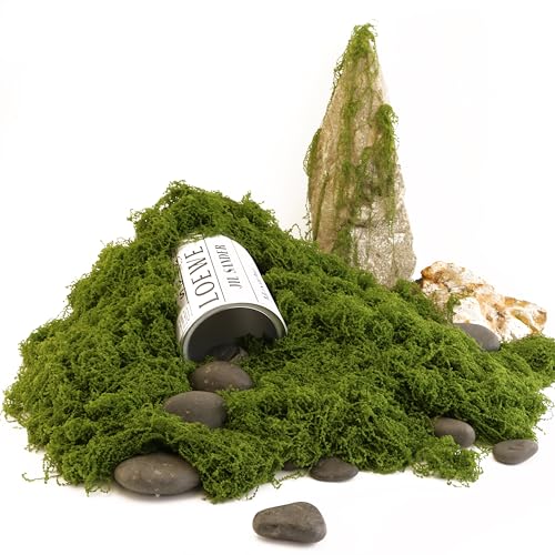 Dark Green Simulated Moss, Artificial bryophytes, Suitable for Moss Decoration, Green Craft, DIY Gardening Art, Garden Christmas and Easter Decoration(2.1OZ) - color: Dark Green