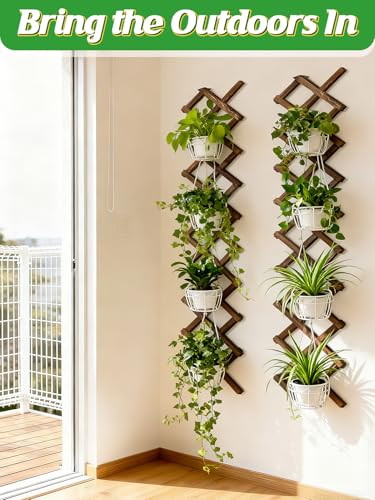 4Packs 13x78in Expandable Wood Wall Trellis for Climbing Plants Outdoor - Lattice Panels for Outside Indoor Balcony Patio Garden, Ideal for Ivy, Vines, Clematis, Roses - style: 4 packs