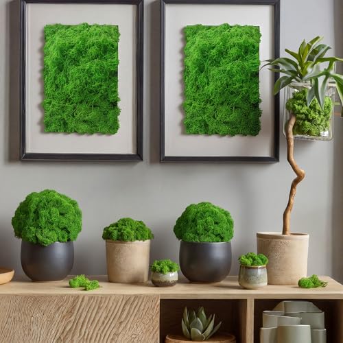 Suncalla Green Artificial Moss for Crafts 43.32oz/2.7lb Fake Green Moss Faux Grass for Potted Plants Indoor Bulk Large Capacity Fairy Garden DIY Decoration Model Making Walls Table Decors Home - color: Green