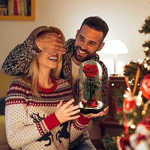 Mothers Day Rose Flower Gifts, Beauty and The Beast Rose Gifts for Women Wife Mom Girlfriend,Preserved Real Rose in Glass Dome,Forever Flowers with Warm Lights,Birthday Gifts for Women - color: Led Rose