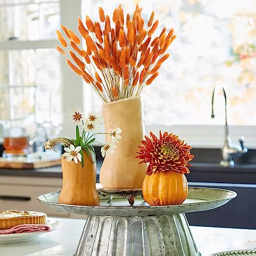 CISDUEO 120pcs Dried Bunny Tails Flowers Orange Lagurus Ovatus Tail Dried Flowers Pampas Grass Natural Dried Floral Arrangement for Boho Fall Decor Autumn Wedding DIY Farmhouse Christmas Halloween - color: Orange