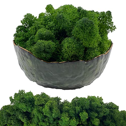 Moss Preserved Artificial Moss 8.8 oz Natural Fresh Green Moss for Craft Arts Floral Project Wall Decor Table Decor Wedding Centerpieces Garden Terrariums Decoration - color: Green, size: 8.81oz