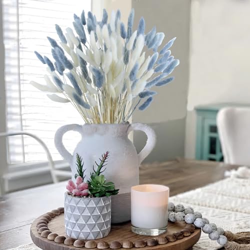 CISDUEO 120pcs Dried Bunny Tails Flowers Lagurus Ovatus Tail Dried Flowers Pampas Grass White and Gray Natural Dried Floral Arrangement for Boho Decor Home Wedding DIY Farmhouse Table Christmas (17") - color: White and Grey