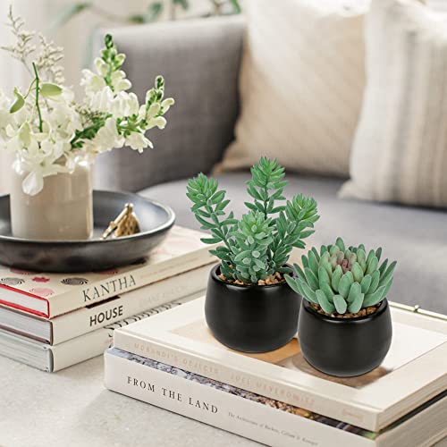 Briful 3PCS Artificial Succulents Fake Plants Mini Succulents Potted in Black Ceramic Pots Artificial Plastic Plants for Home Office Desk Farmhouse Bathroom Décor - color: Type #3