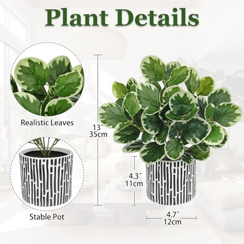 13" Artificial Plants Indoor Small Fake Plant in Ceramic Pot, Silk Plants for Home Decor Indoor, Faux Potted Plant for Shelves, Desks, Home, Room, Office, Bedroom, Farmhouse, Entryway, Tabletop Decor - color: #Green #3