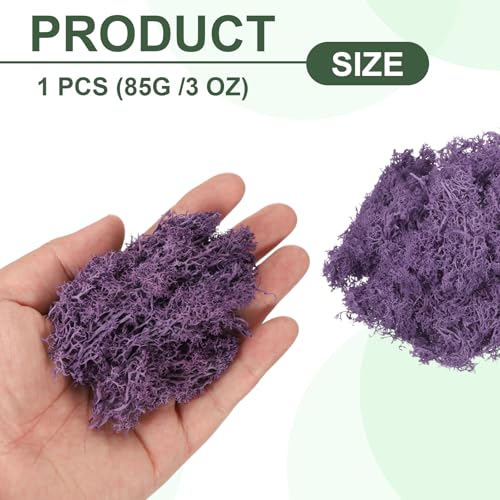 MECCANIXITY 3oz Preserved Reindeer Moss, Dark Purple Decorative Artificial Fake Moss for Potted Plants Indoor Crafts Lichen Centerpieces Decor - color: Dark Purple, size: 3oz