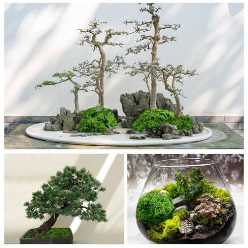 Draupnir Fake Green Moss for Plants Indoor, 5.3OZ Fake Moss for Crafts Preserved for DIY Decorative mossTable Centerpieces Decor Fairy Garden Floral Wedding (150g) - color: Light Green