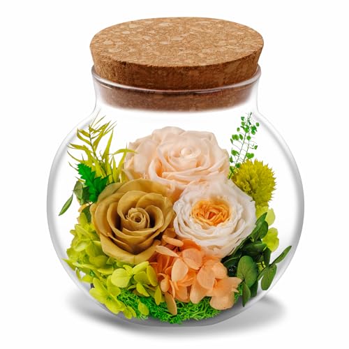 NATROSES Christmas Birthday Gifts for Women - Handmade Preserved Flowers Wish Bottle for Valentine's Day, Mother's Day, Anniversary, Home Decor (Champagne) - color: Champagne