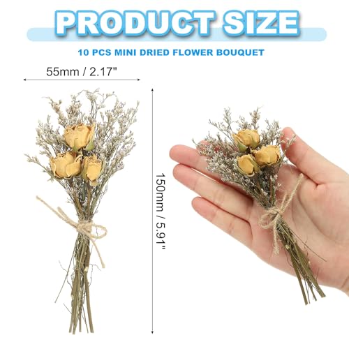 PATIKIL Mini Dried Flower Bouquet, 10 Pcs Rose Natural Wildflower with Stem Decor Baby's Breath Boho Floral Plant Flower for Crafts DIY Photo Props Gift Wedding Decor, Beige - color: Beige